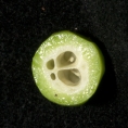 Pseudospondias microcarpa Immature fruit cut transversely. Pseudospondias microcarpa Immature fruit cut transversely.